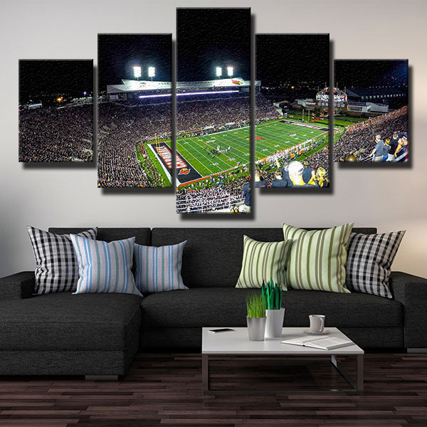 St Louis Cardinals Court Canvas Wall Art