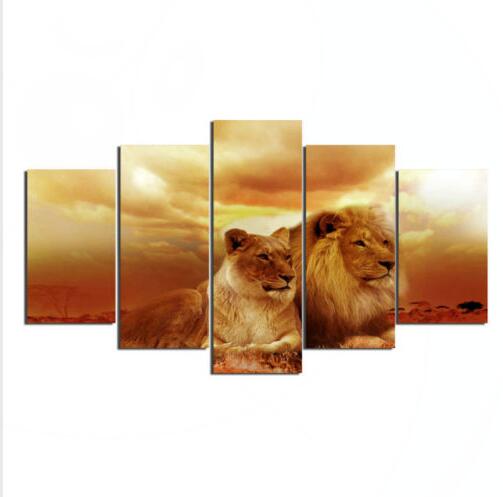 Lion Couple In The Sunset Canvas Wall Art