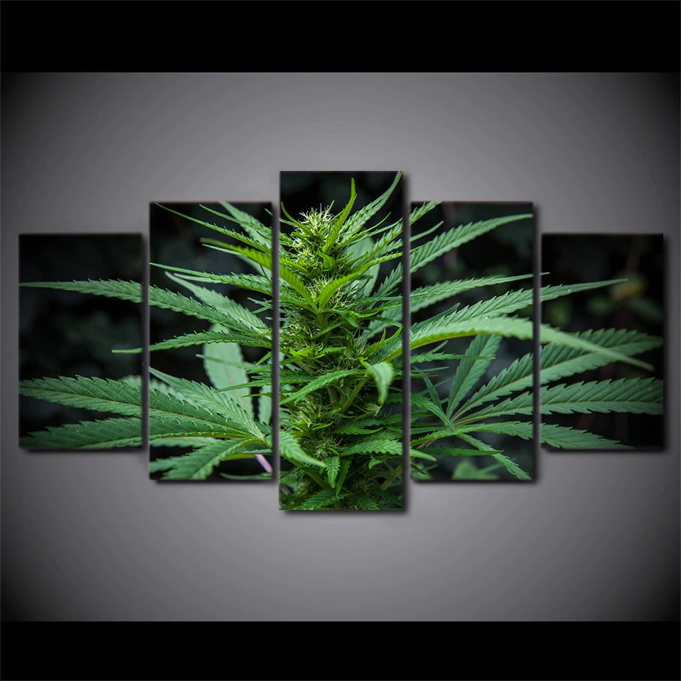 Marijuana Cannabis 420 Ganja Weed Plant Canvas Wall Art Marijuana Cannabis 420 Ganja Weed Plant Canvas Wall Art