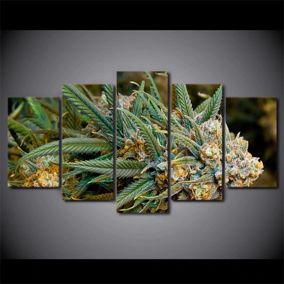 Marijuana Weed Cannabis Ganja Plant Canvas Wall Art Marijuana Weed Cannabis Ganja Plant Canvas Wall Art