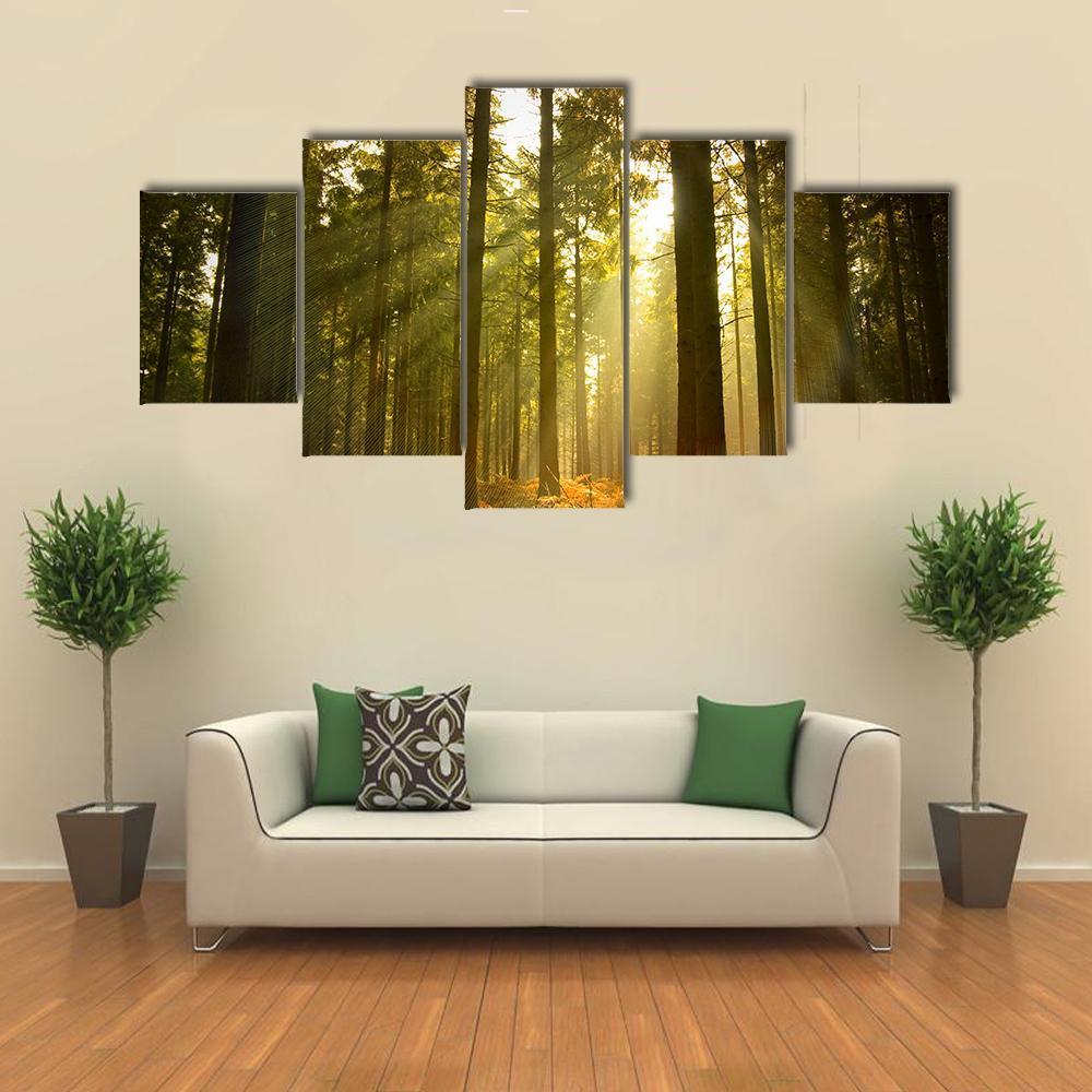 A Beautiful Forest At Dusk – Nature Canvas Wall Art