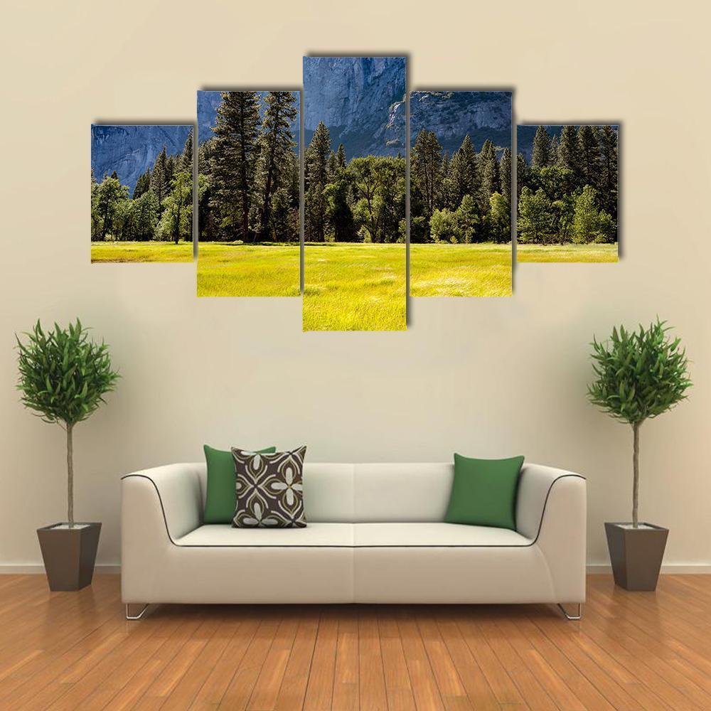 A Meadow In The Spring At Yosemite National Park – Nature Canvas Wall Art