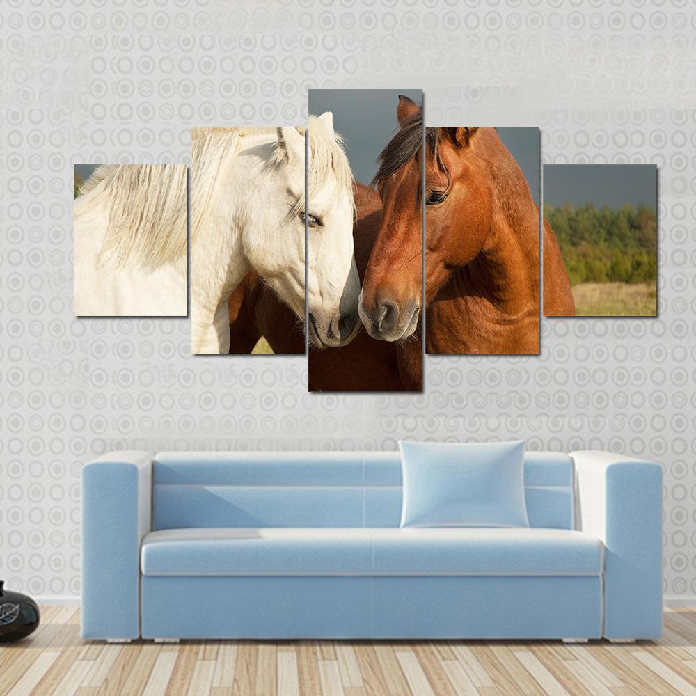 A Pair Of Horses Showing Affection – Animal Canvas Wall Art