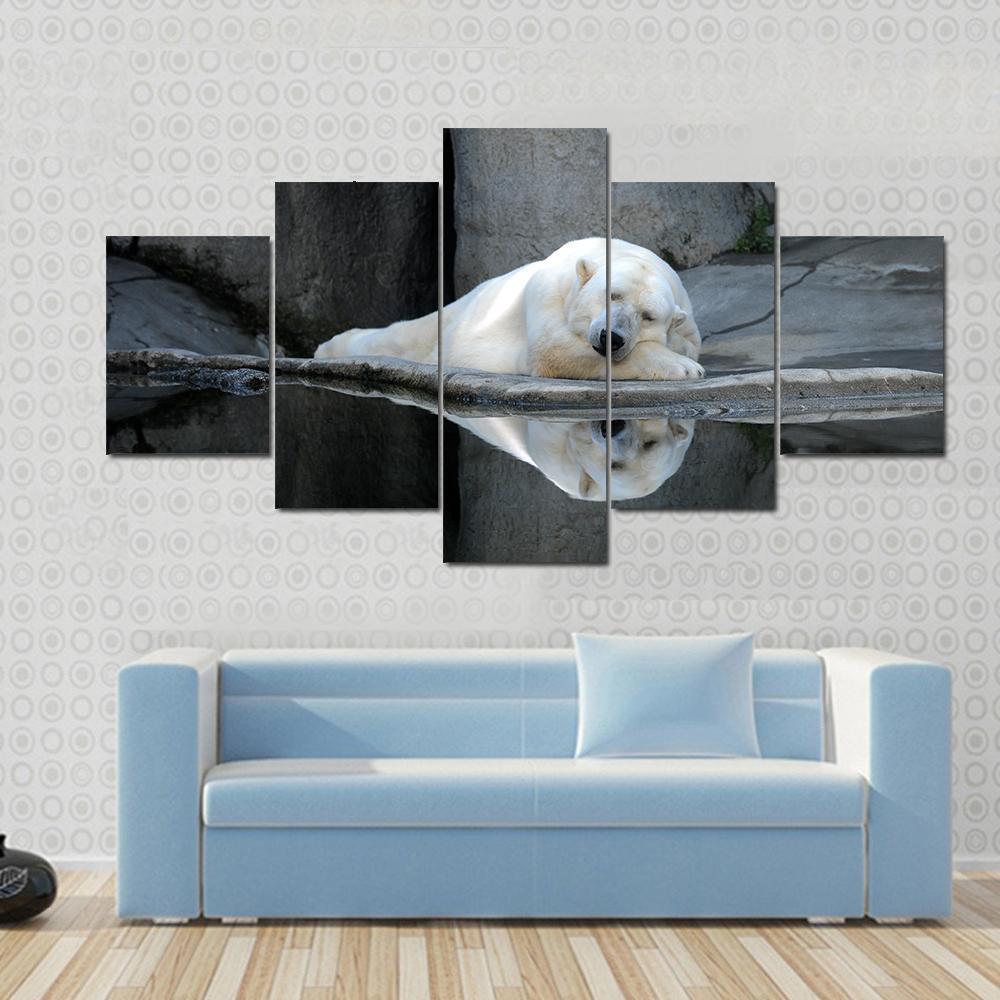 A Sleeping Polar Bear At A Zoo – Animal Canvas Wall Art