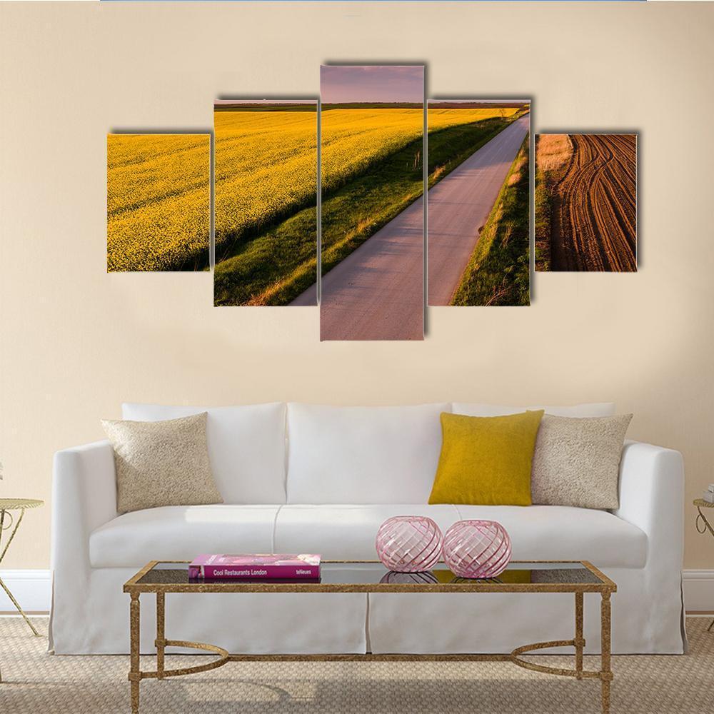 Aerial Shot Of Canola Rape Seed From Drone – Nature Canvas Wall Art