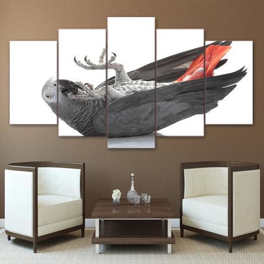 African Grey Parrot – Animal Canvas Wall Art