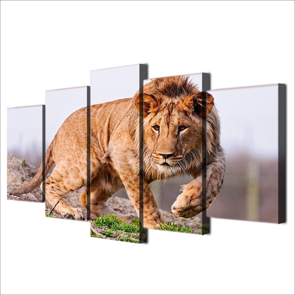African Lion 2 – Animal Canvas Wall Art