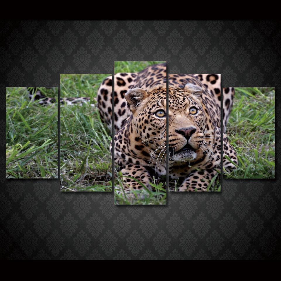 Afrika Leopard – Animal Canvas Wall Art