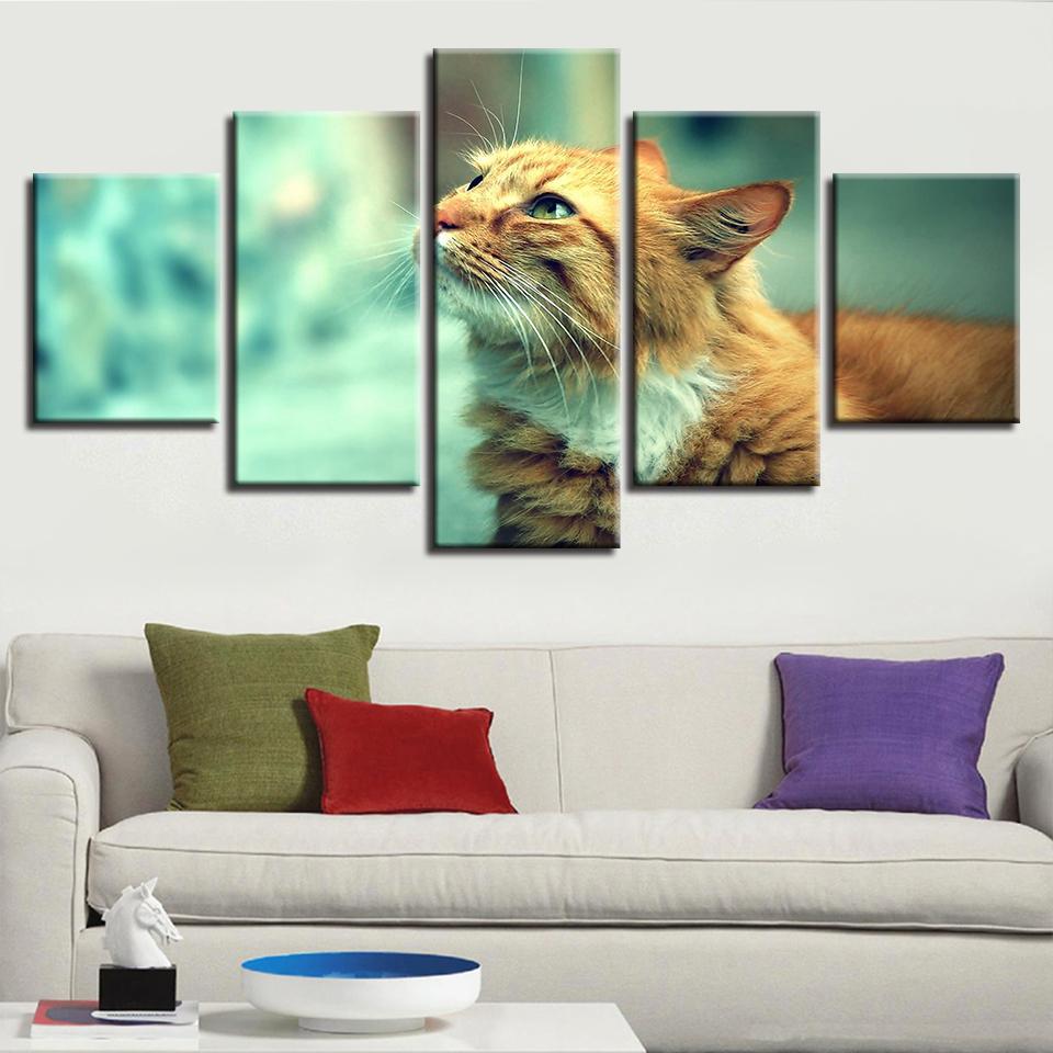 Animal Cute Cat – Animal Canvas Wall Art