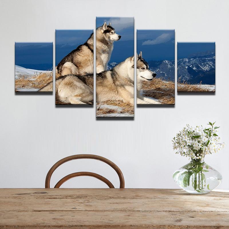 Animal Pet Dog Siberian Husky – Animal Canvas Wall Art