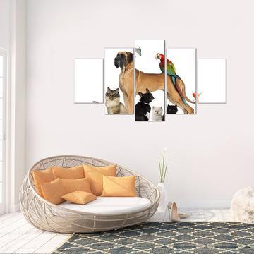 Animals And All – Animal Canvas Wall Art