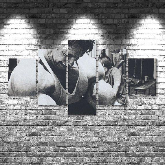 Arnold Schwarzenegger 2 – Famous Person Canvas Wall Art