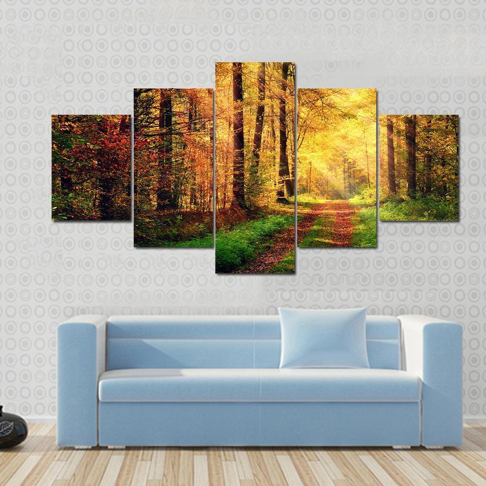 Autumn Forest Scenery With Rays Of Warm Light – Nature Canvas Wall Art
