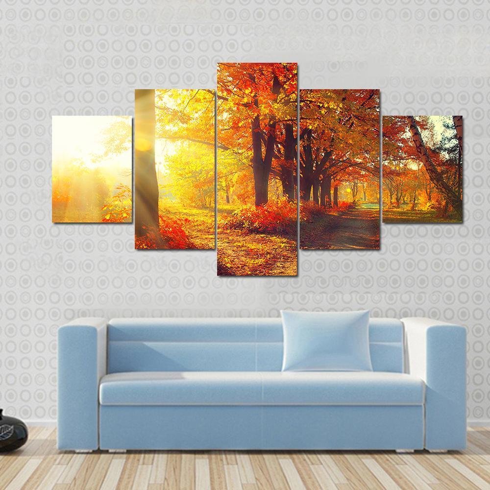 Autumnal Trees And Leaves In Sun Rays – Nature Canvas Wall Art