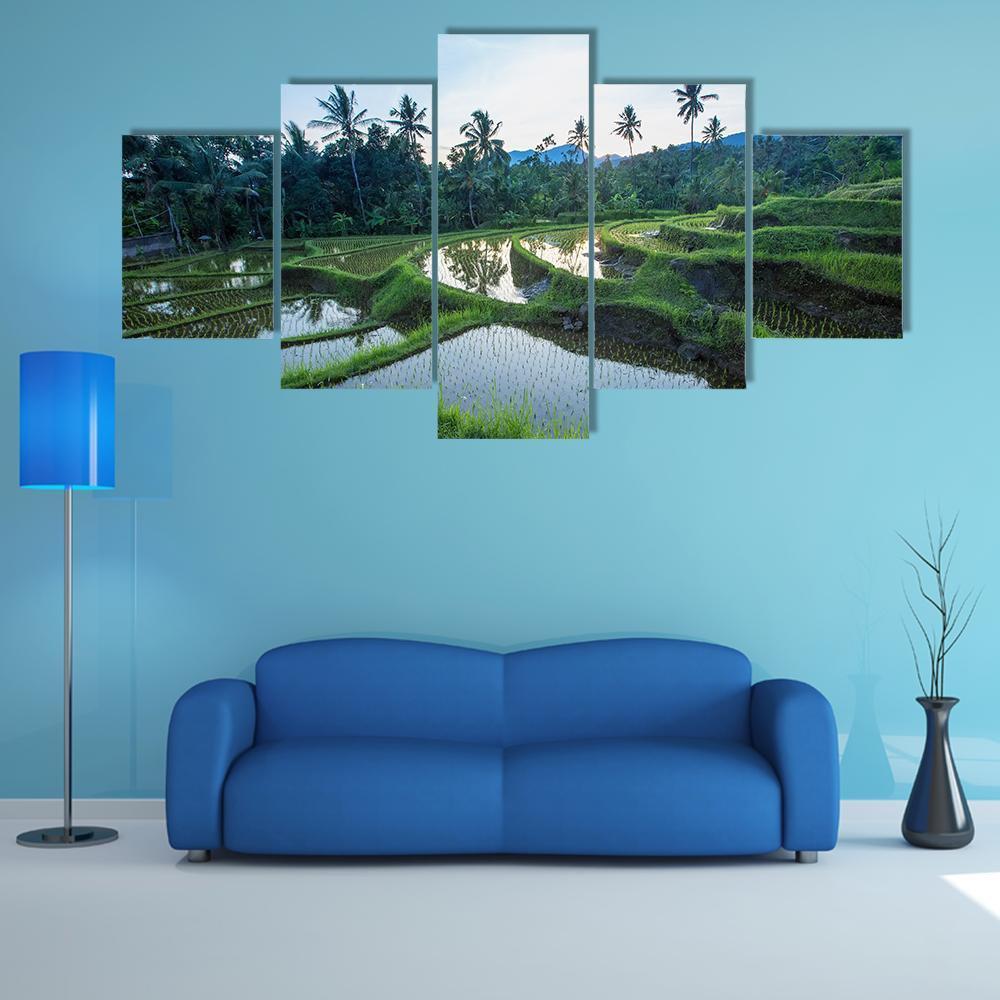Bali Rice Terraces – Nature Canvas Wall Art