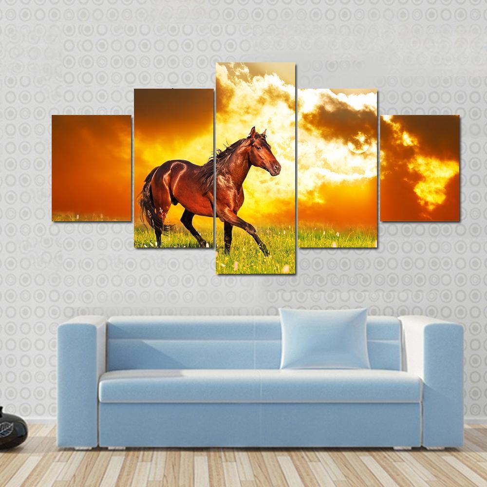 Bay Horse Skips On A Meadow – Animal Canvas Wall Art