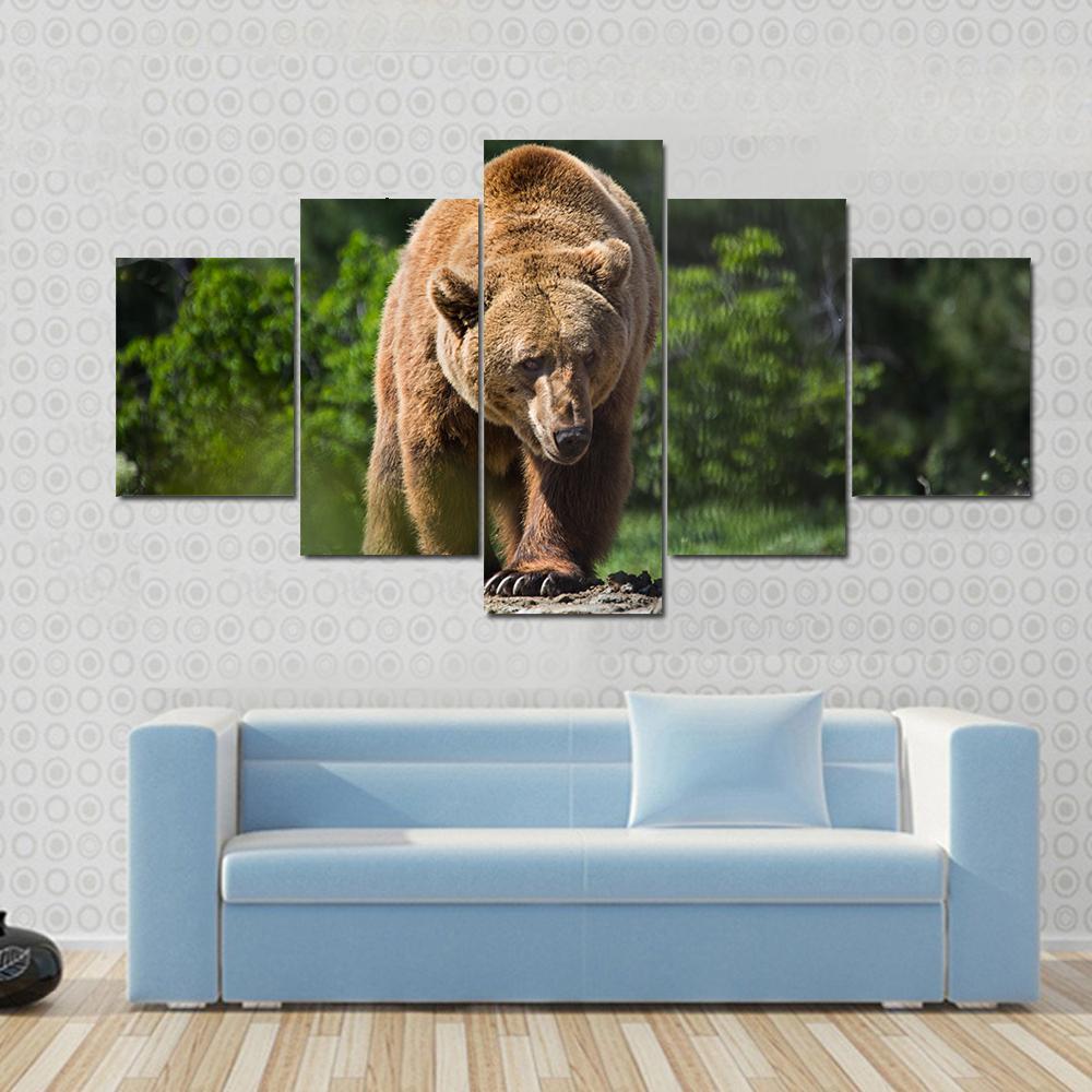 Bear Moving In The Forest – Animal Canvas Wall Art