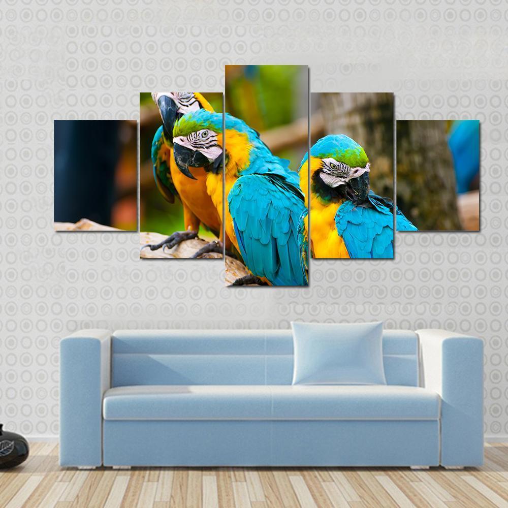 Beautiful Colorful Macaw – Animal Canvas Wall Art