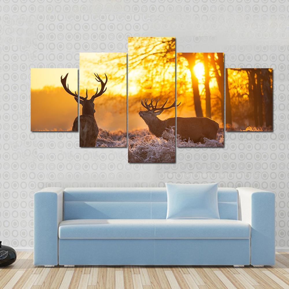 Beautiful Deer Couple In Morning Sun – Animal Canvas Wall Art