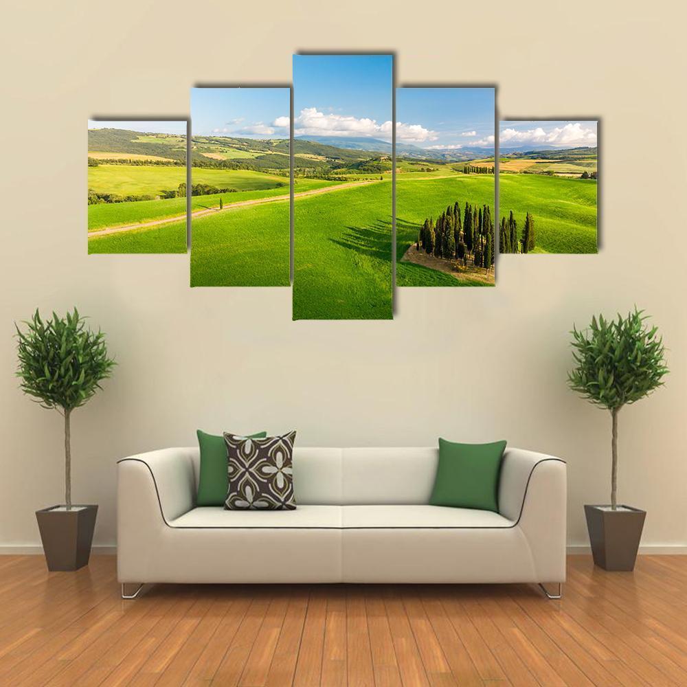 Beautiful Italian Cypresses – Nature Canvas Wall Art