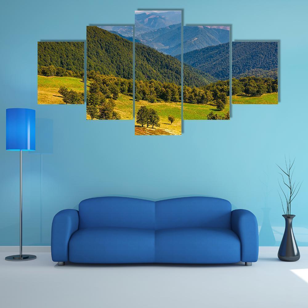 Beech Trees Meadow On Hillside – Nature Canvas Wall Art