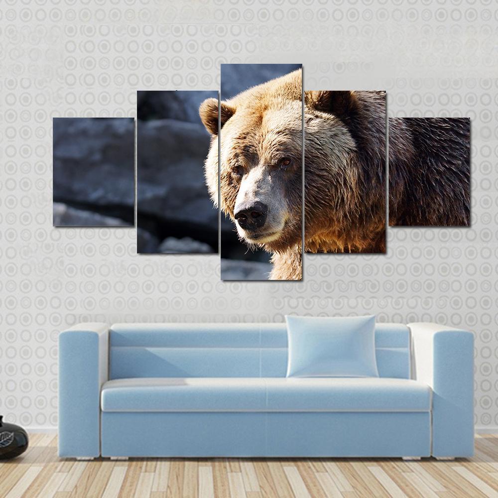 Big Grizzly Brown Bear Looking At Camera – Animal Canvas Wall Art