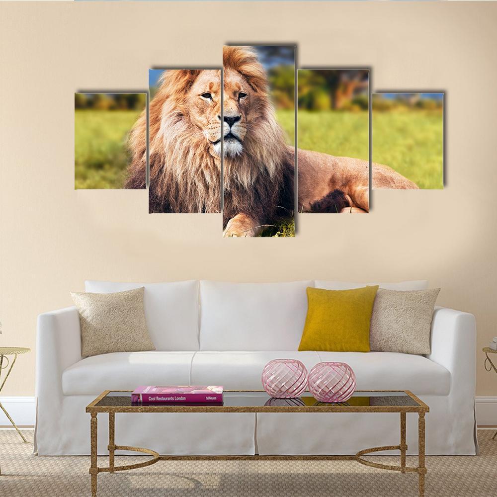 Big Lion Lying On Savannah Grass – Animal Canvas Wall Art