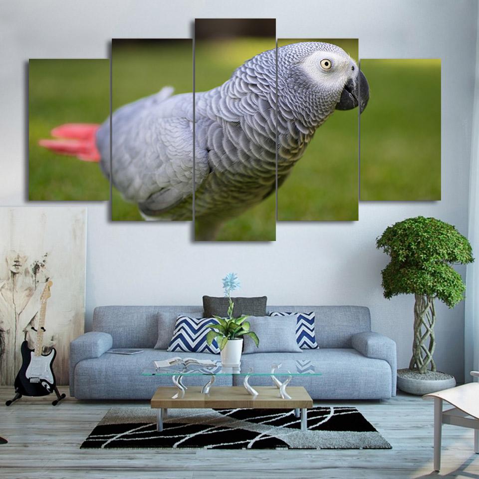 Bird – Animal Canvas Wall Art