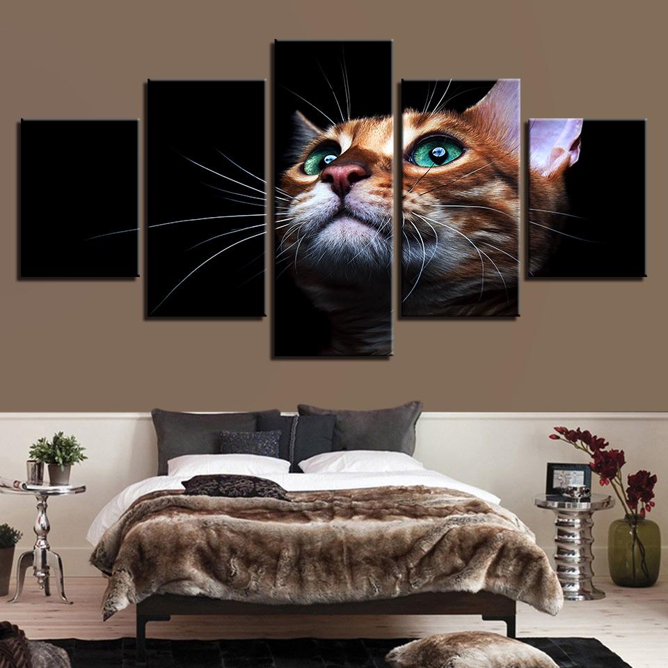 Black Background Cute Cat – Animal Canvas Wall Art