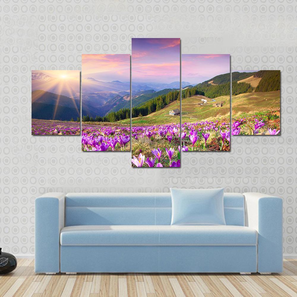 Blossom Of Crocuses At Spring In The Mountains – Nature Canvas Wall Art