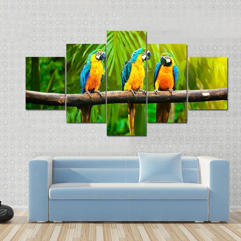 Blue And Gold Macaw Animal – Canvas Wall Art