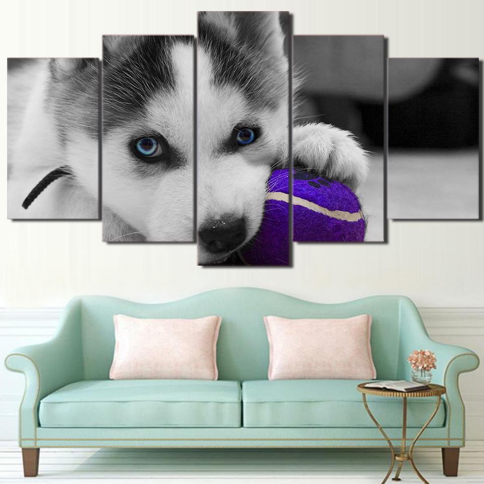 Blue Eyes Husky – Animal Canvas Wall Art