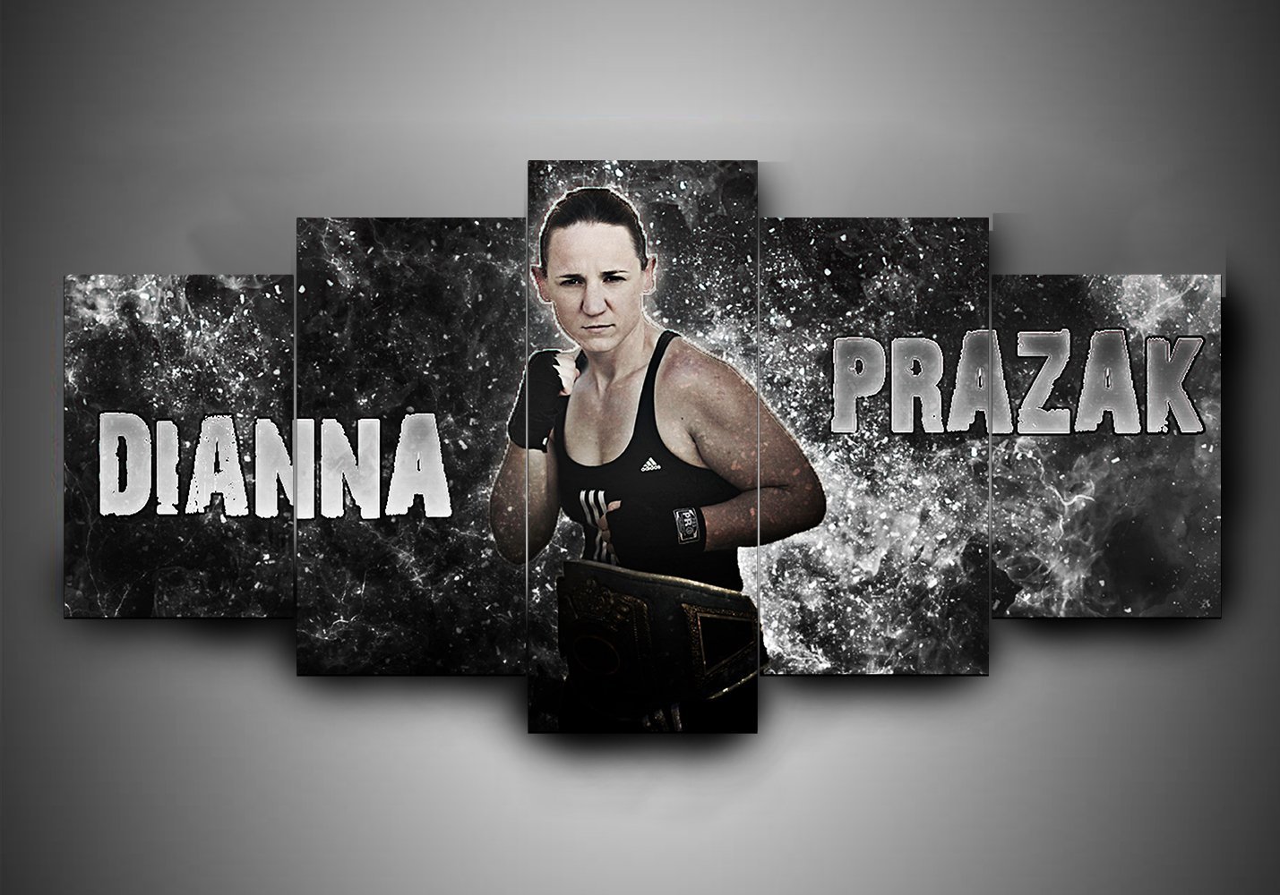Boxing – Diana Prazak – Sport Canvas Wall Art