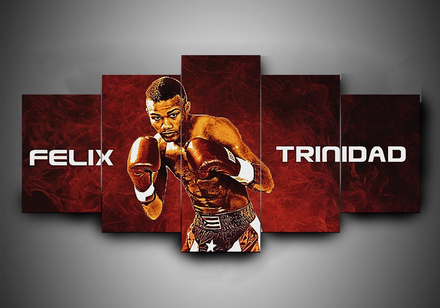 Boxing – F??Lix Trinidad – Sport Canvas Wall Art