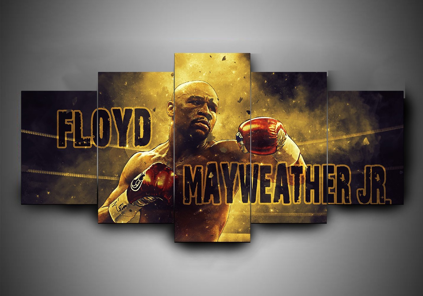 Boxing – Floyd Mayweather Jr – Sport Canvas Wall Art