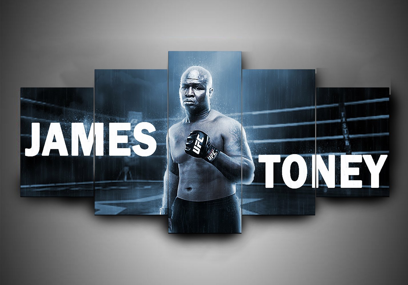 Boxing – James Toney – Sport Canvas Wall Art