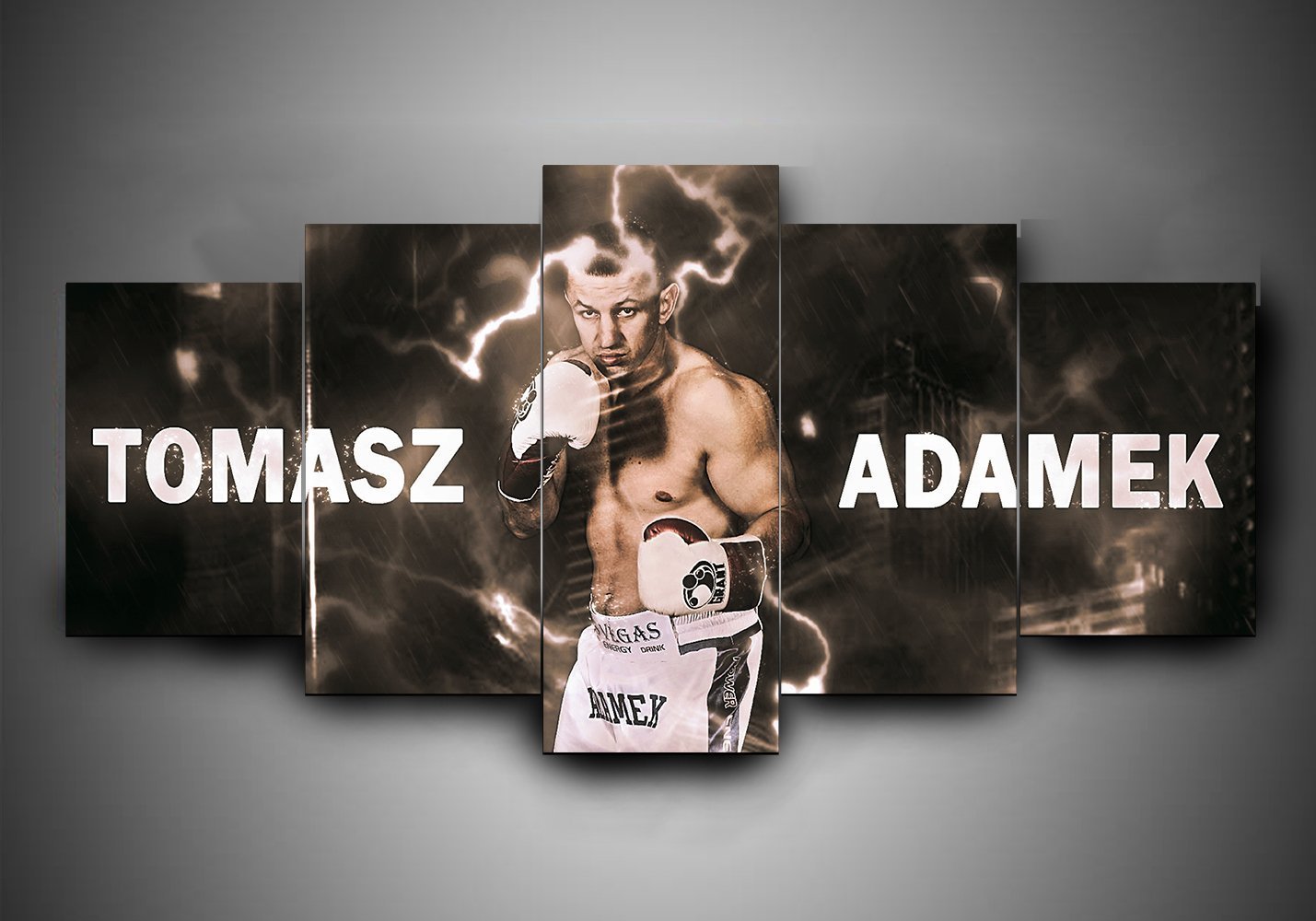 Boxing – Tomasz Adamek – Sport Canvas Wall Art