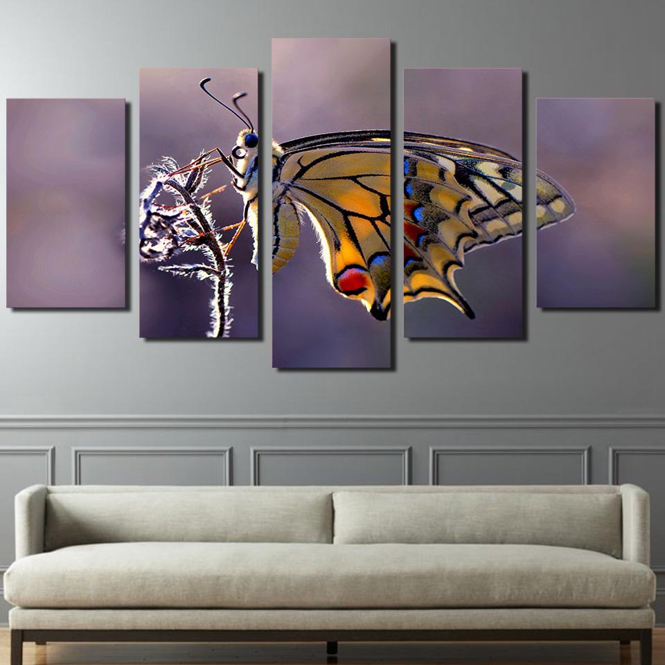 Butterfly 3 – Animal Canvas Wall Art
