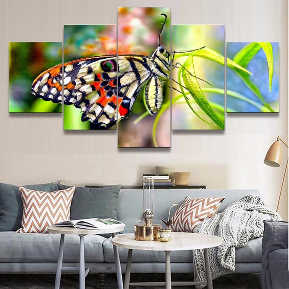 Butterfly 37 – Animal Canvas Wall Art