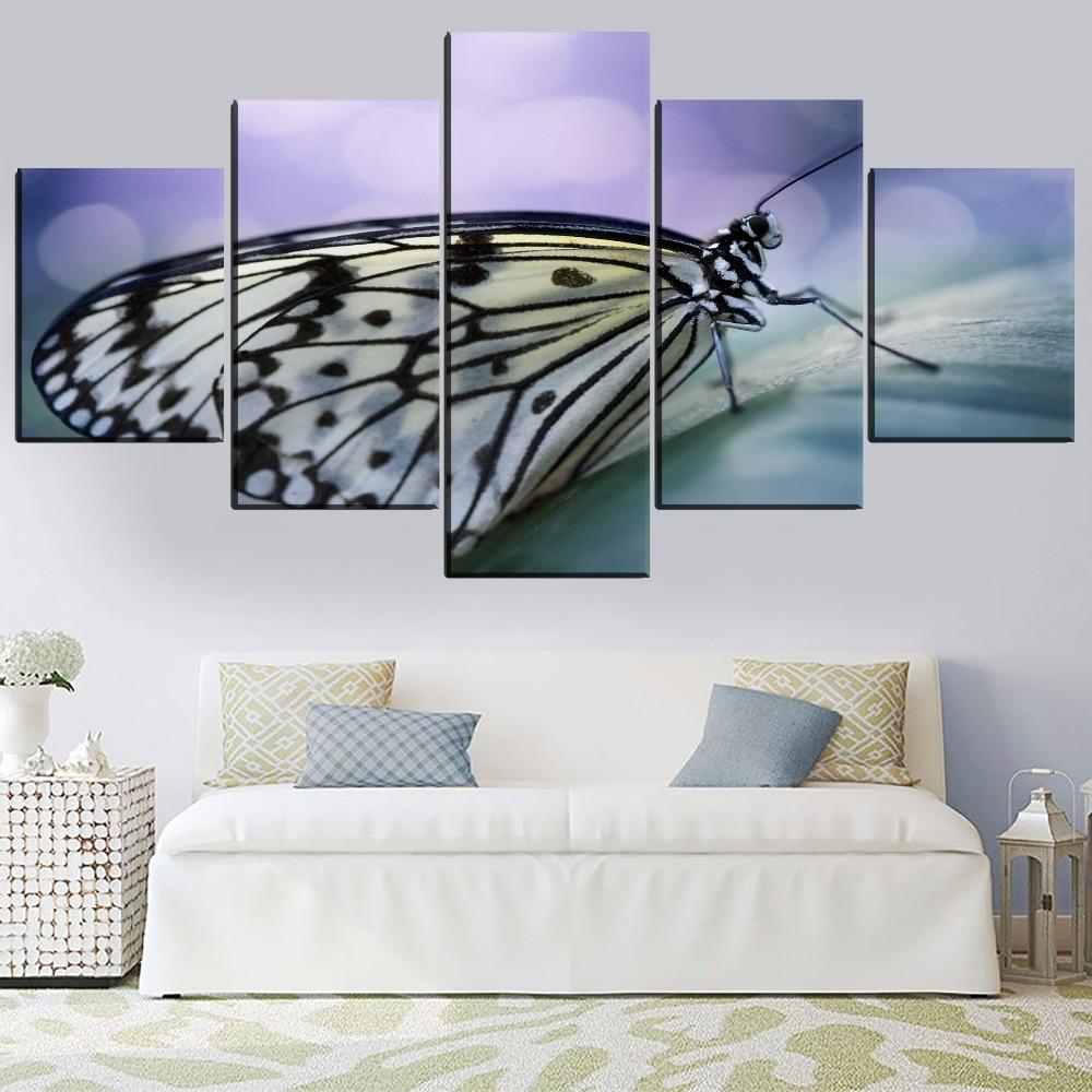 Butterfly 38 – Animal Canvas Wall Art
