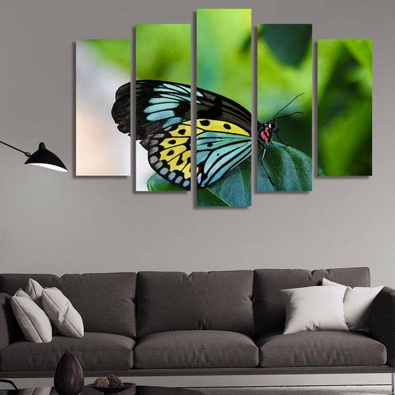 Butterfly In Blue Yellow And Black – Animal Canvas Wall Art