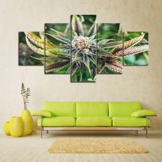 Cannabis Bloom – Nature Canvas Wall Art