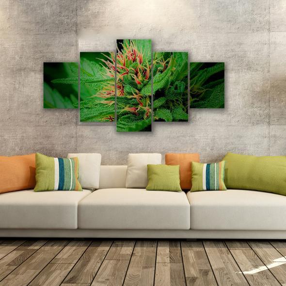 Cannabis Sweet – Nature Canvas Wall Art