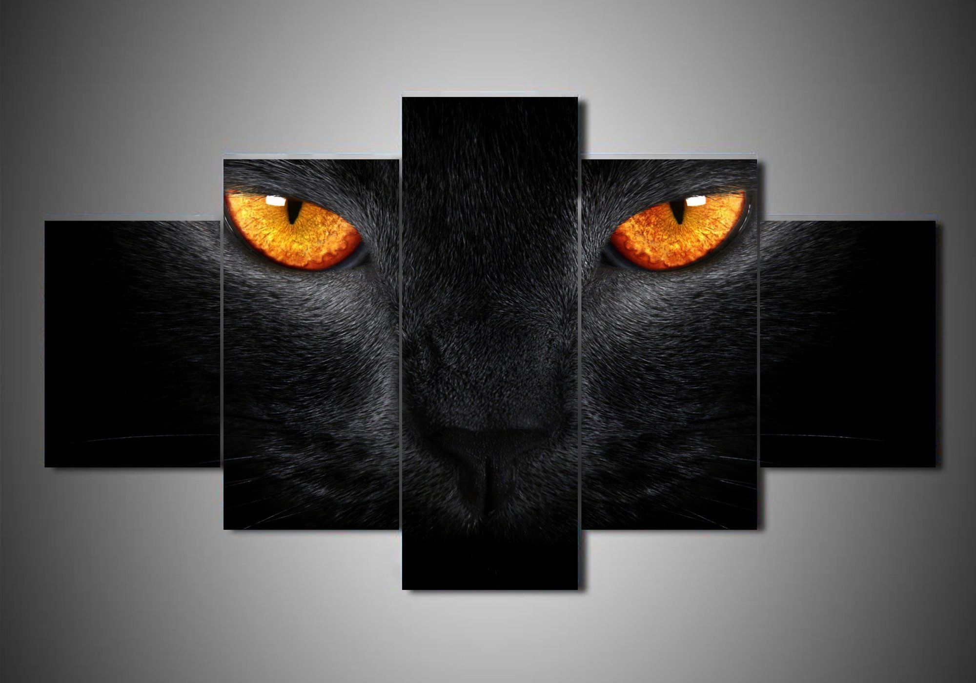 Cat 1 – Animal Canvas Wall Art