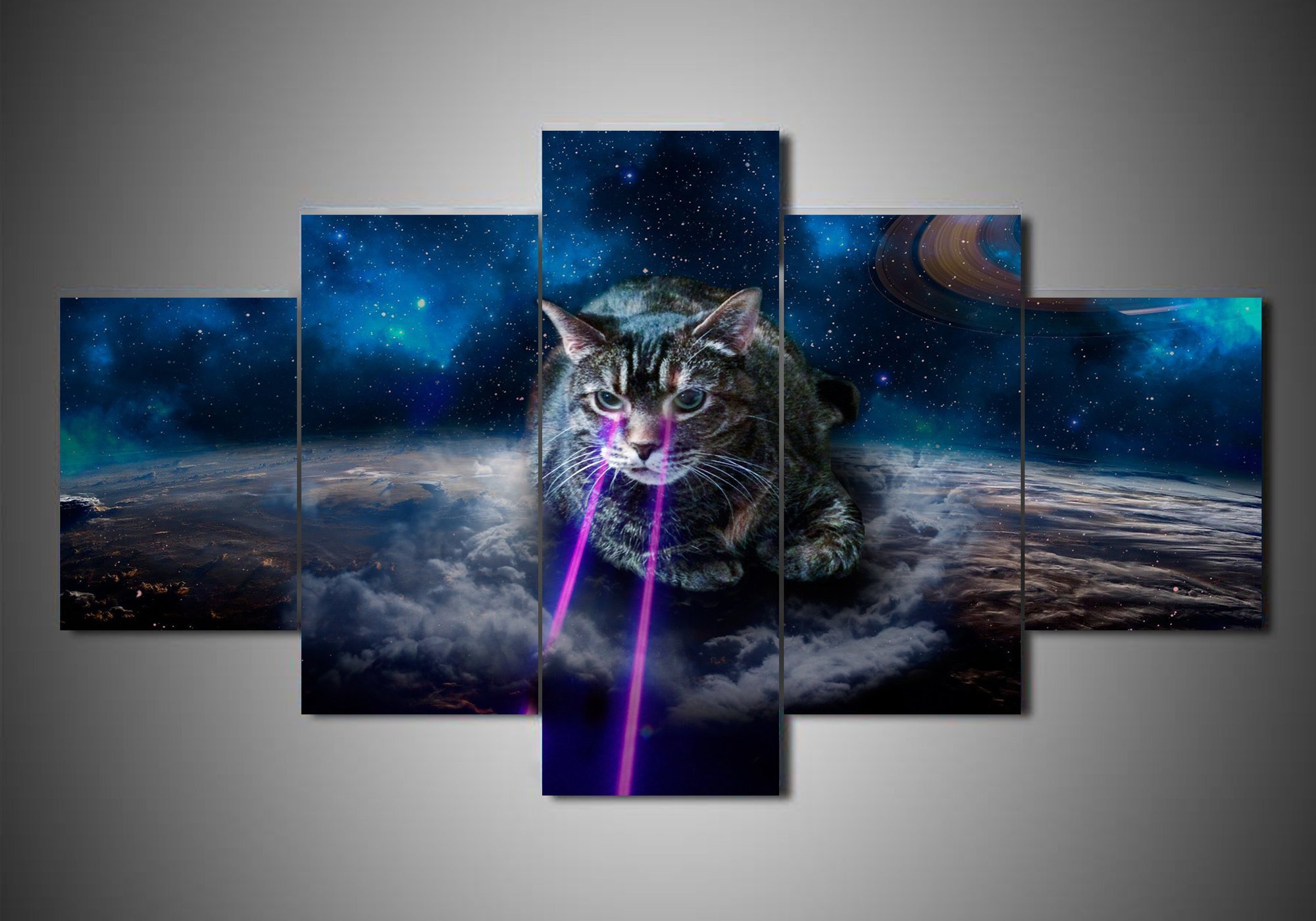 Cat – Animal Canvas Wall Art