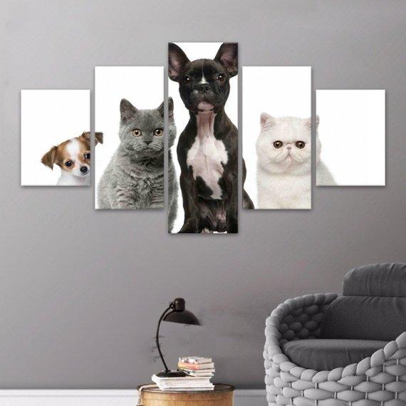 Cats Dogs Beautiful Pets – Animal Canvas Wall Art