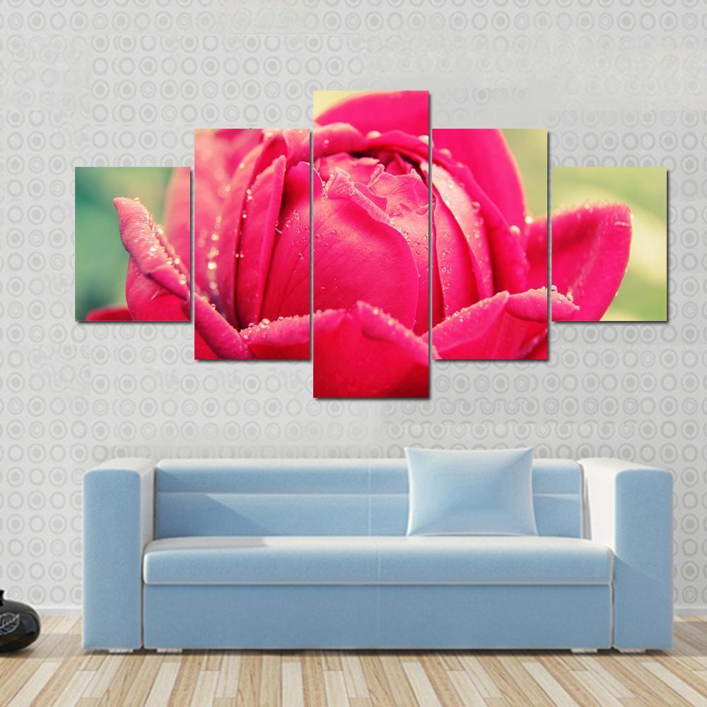 Close Up Of Flower With Raindrops – Nature Canvas Wall Art