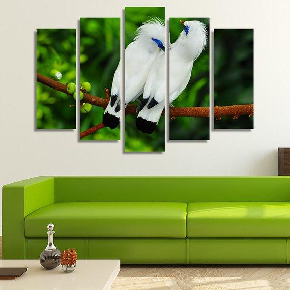 Couple Of White Myna Birds – Animal Canvas Wall Art