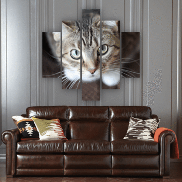 Curious Cat – Animal Canvas Wall Art