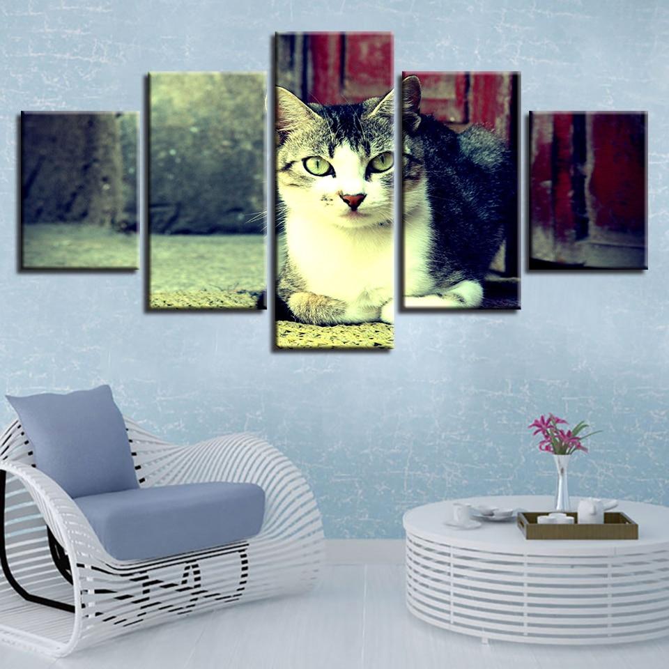 Cute Black And White Cat – Animal Canvas Wall Art